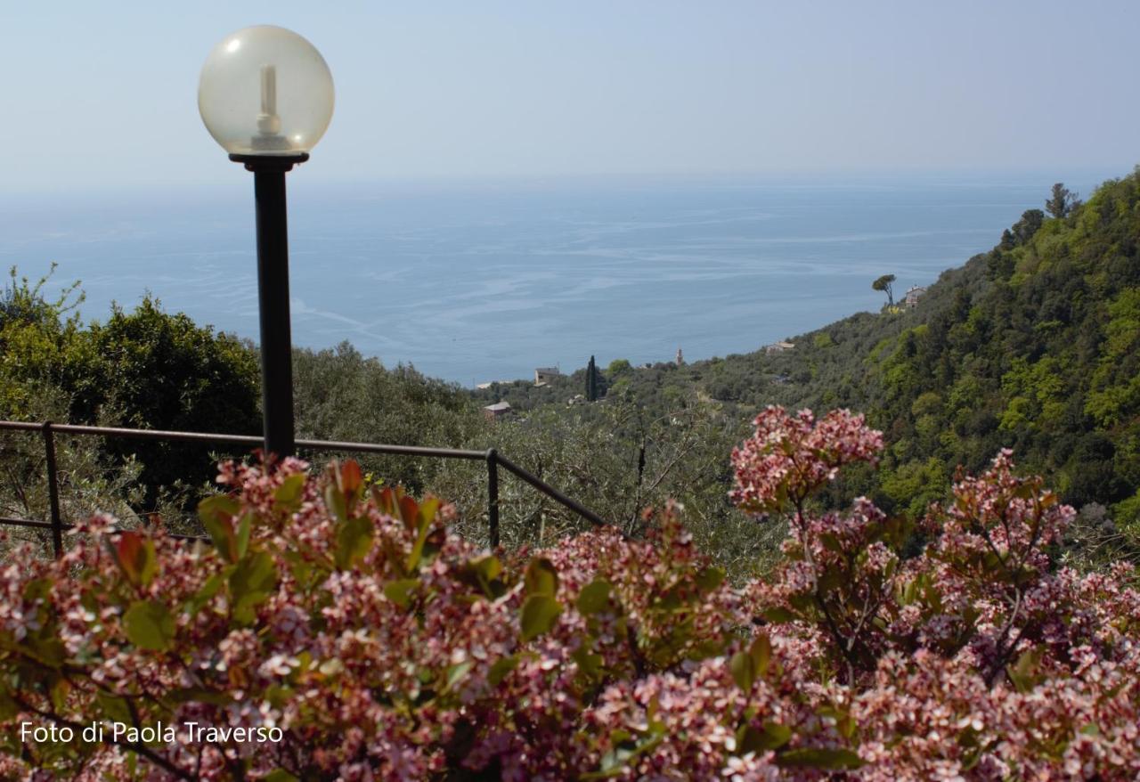 Azalea Villa Recco Bagian luar foto