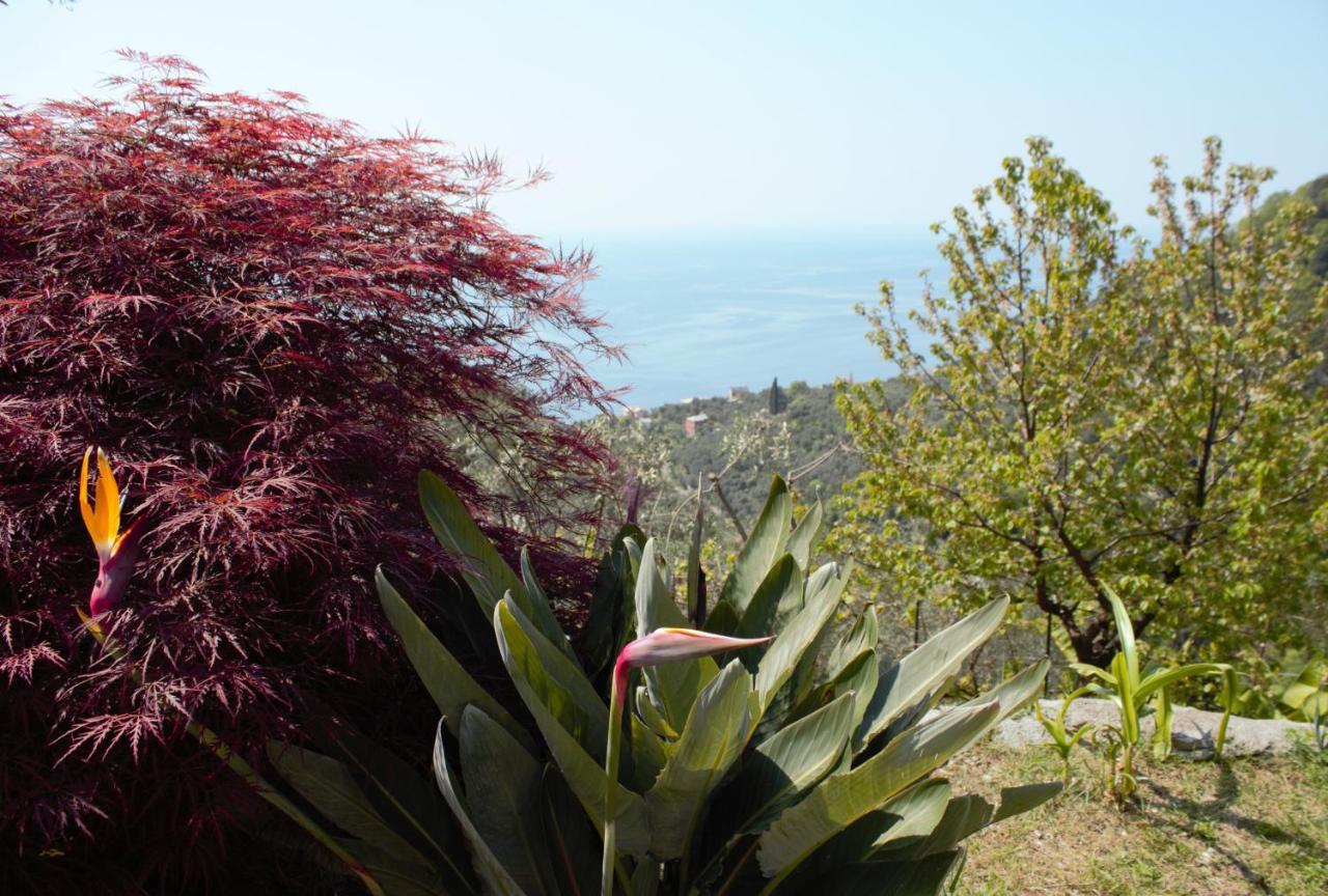 Azalea Villa Recco Bagian luar foto